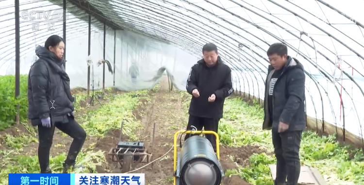 寒潮天气下菜价平稳 各地是如何保障 “菜篮子”量丰价稳的？(图2)