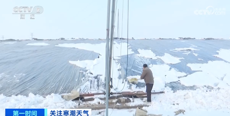 寒潮天气下菜价平稳 各地是如何保障 “菜篮子”量丰价稳的？(图3)