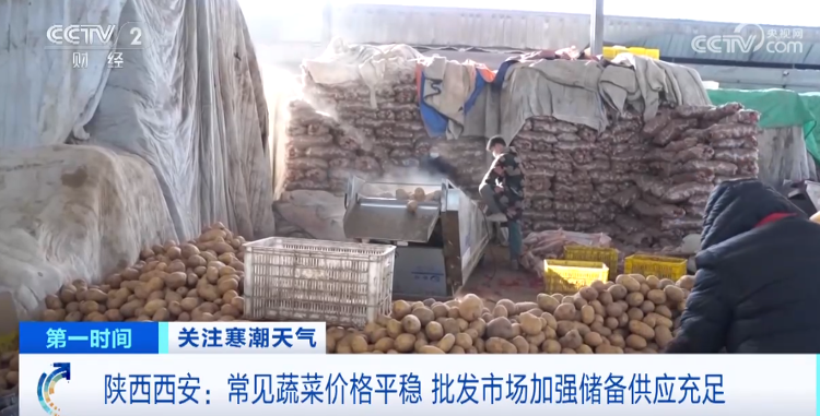 寒潮天气下菜价平稳 各地是如何保障 “菜篮子”量丰价稳的？(图5)