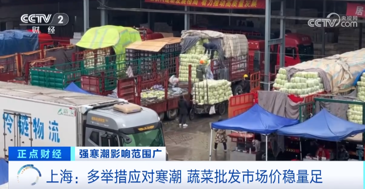 寒潮天气下菜价平稳 各地是如何保障 “菜篮子”量丰价稳的？(图7)
