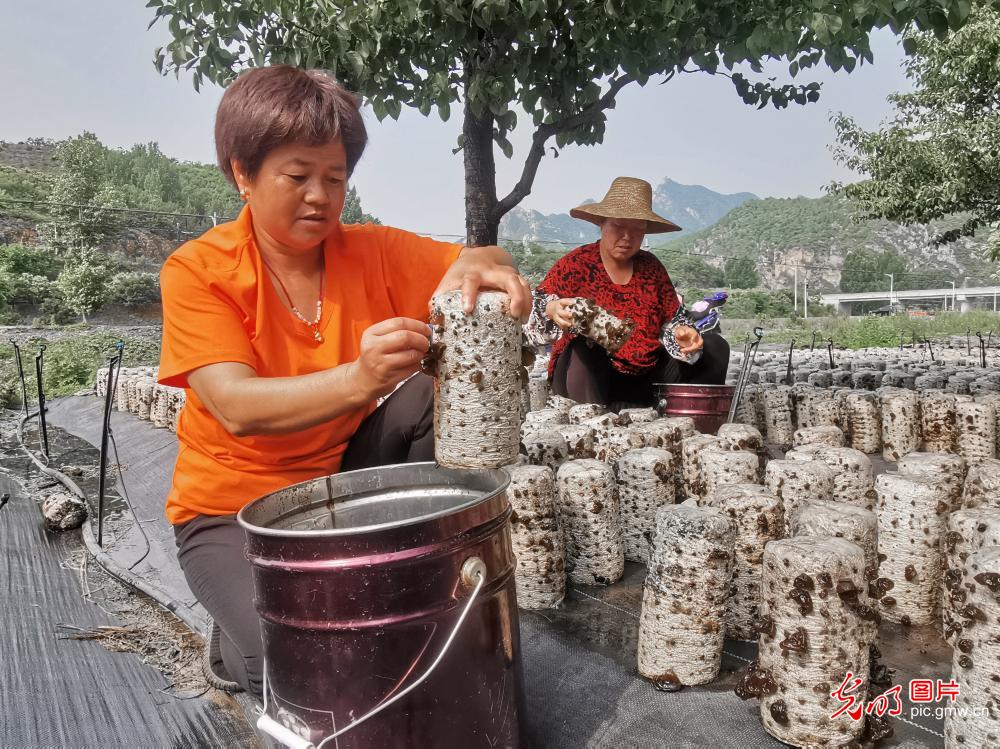 最“畅销”的农副产品(图2)