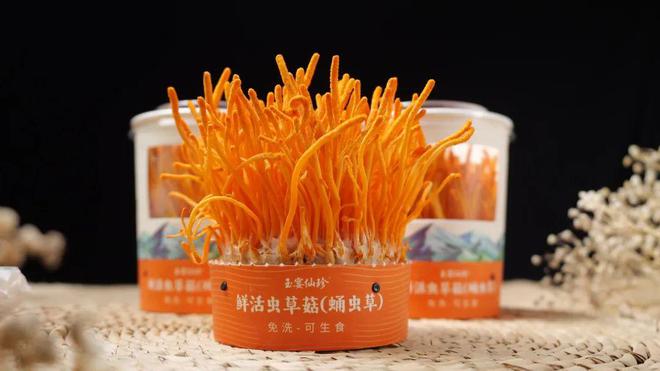 仪征爆款！谁最“出圈”？(图5)