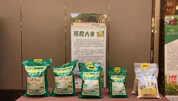 仪征爆款！谁最“出圈”？(图13)