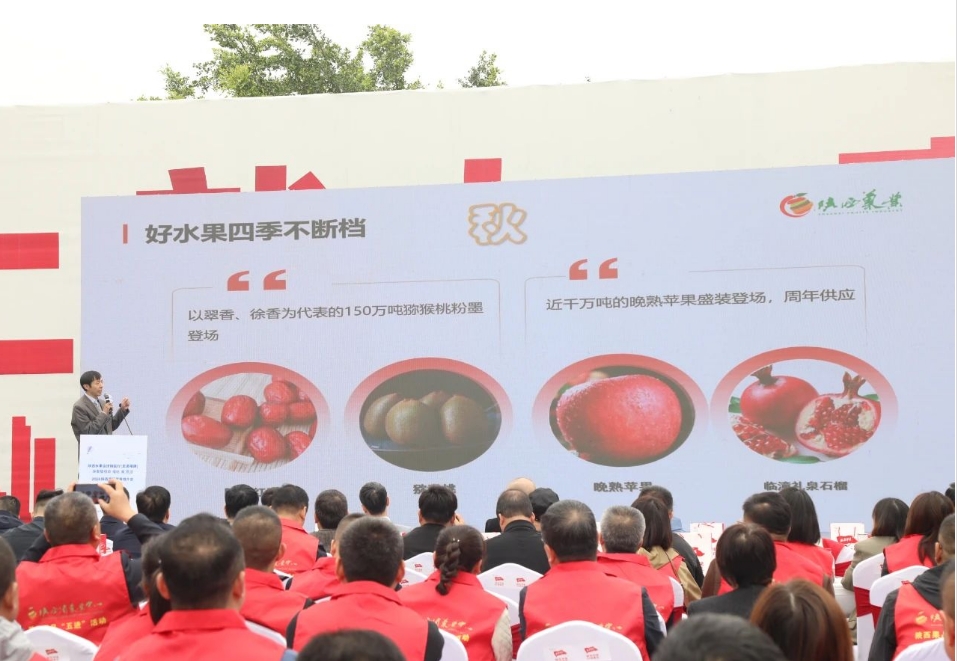2024陕西果品宣传推介会在福州海峡果品批发市场举行